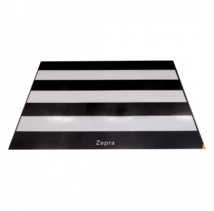 Dance Floor Zepra