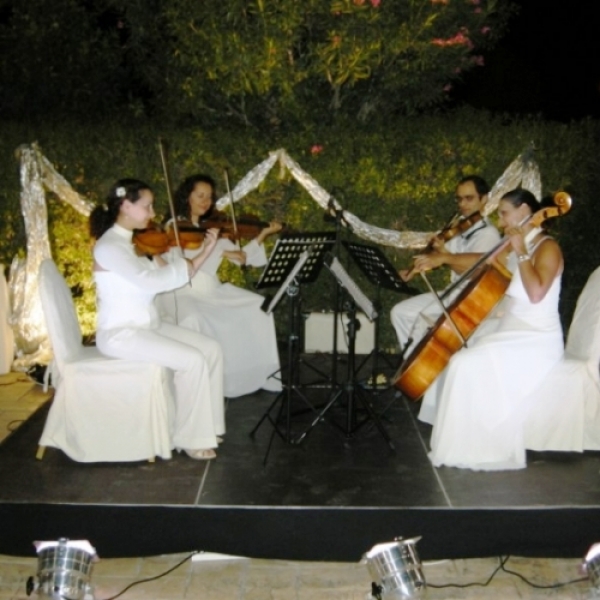 String Quartet