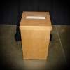 Wedding envelope box gold