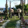 Wedding at Amathus Hotel