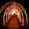 Fairy light Arch