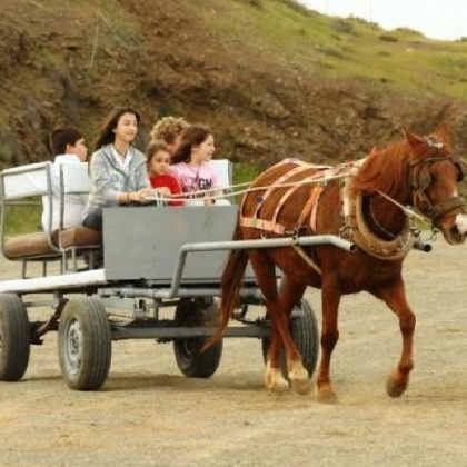 Carriage Ride